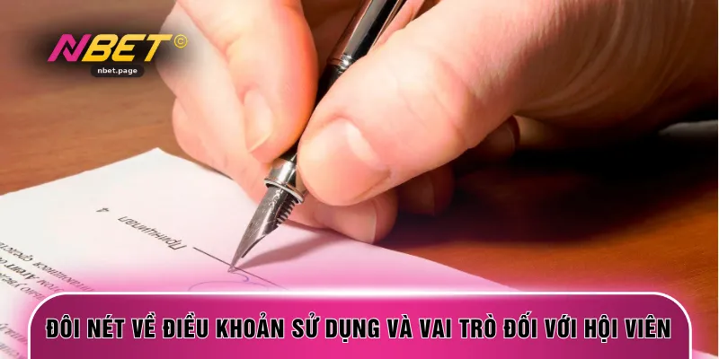Đôi nét về điều khoản sử dụng và vai trò đối với hội viên 
